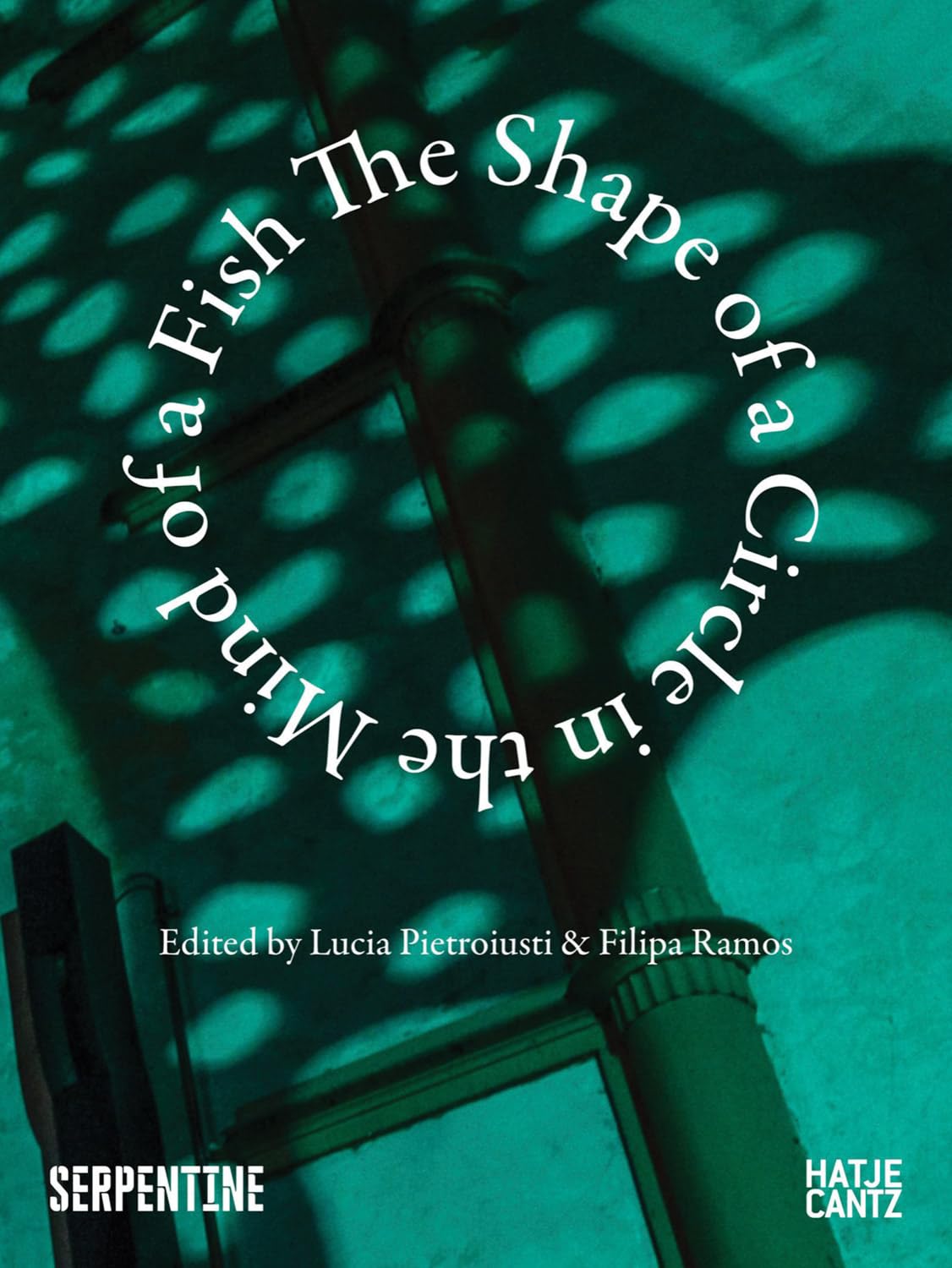 The Shape of a Circle in the Mind of a Fish baixar o livro de graça