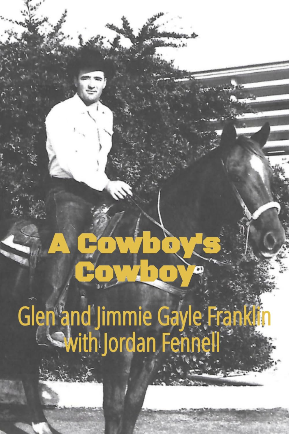 A Cowboy's Cowboy: The Life of Glen Franklin, World Champion Calf Roper baixar o livro de graça