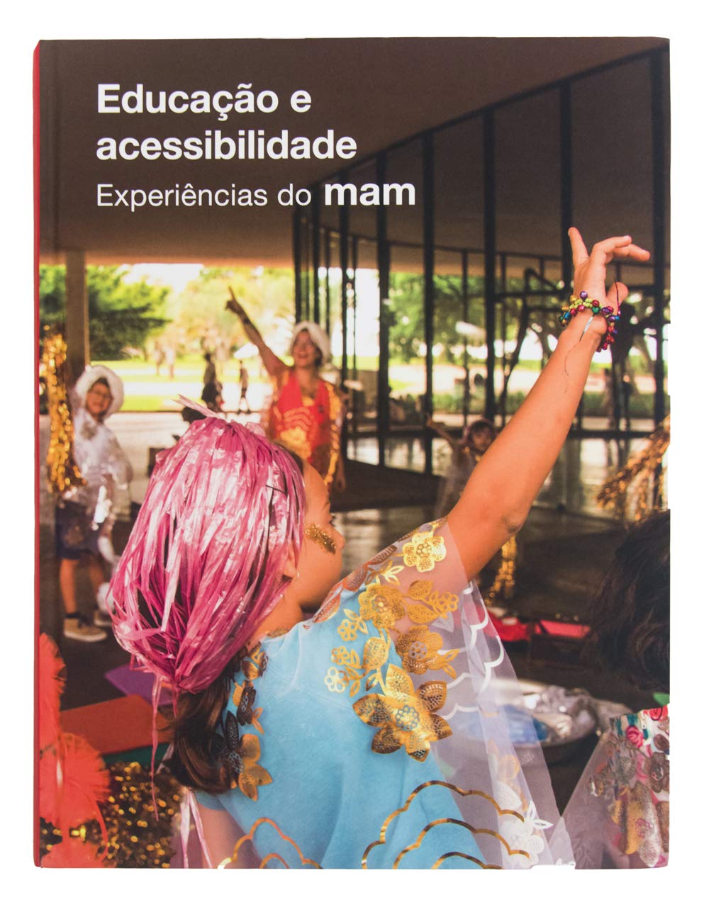 ler totalmente Educação e Acessibilidade Experiências do MAM, Capa Comum, (Português e Inglês), 2018, MAM, MAM São Paulo
