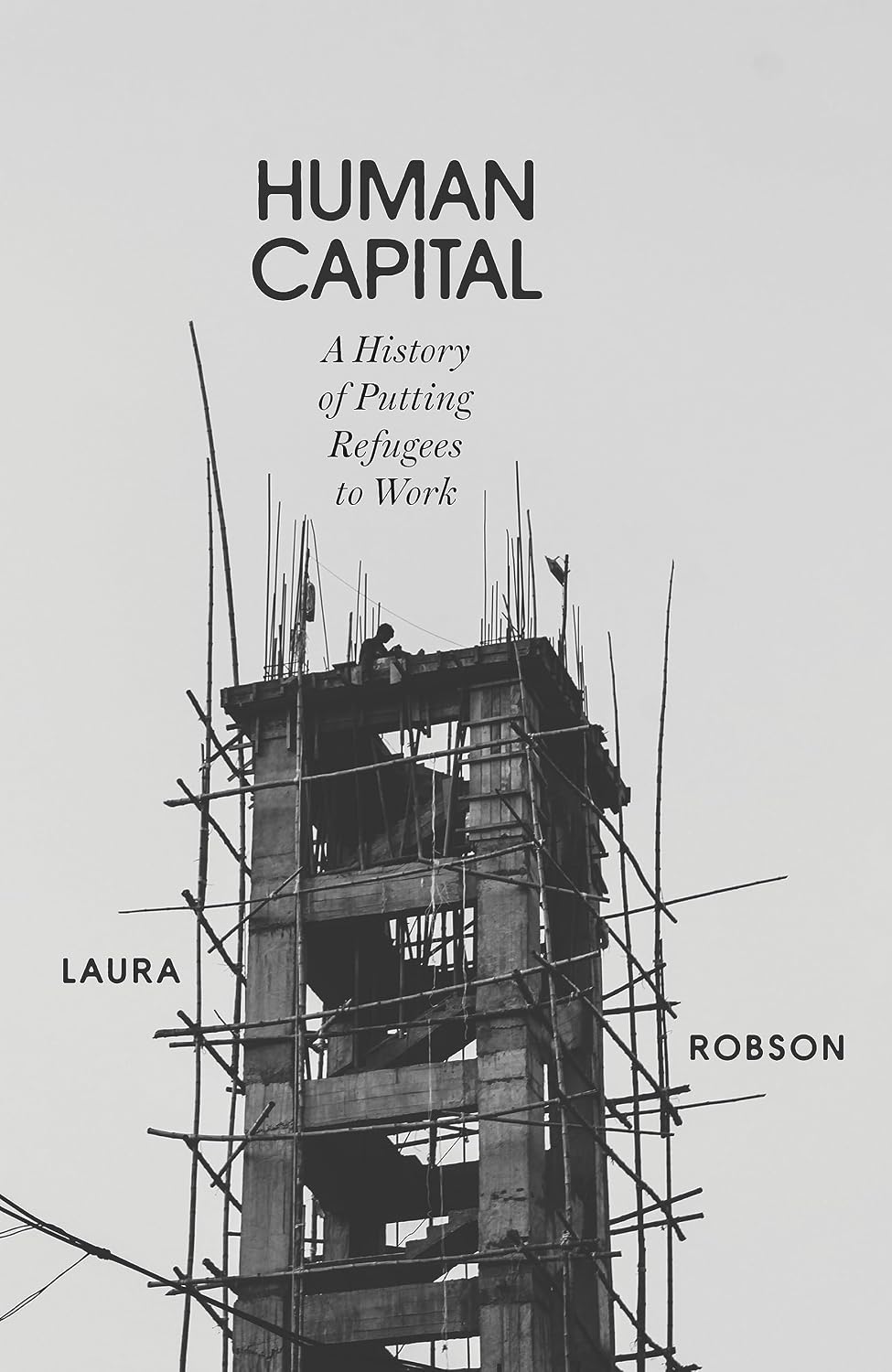 Human Capital: A History of Putting Refugees to Work baixar o livro de graça