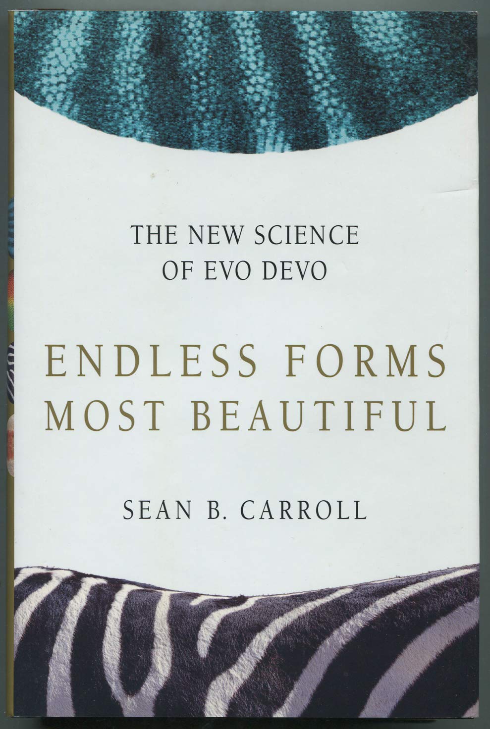 Endless Forms Most Beautiful – The New Science of Evo Devo and the Making of the Animal Kingdom