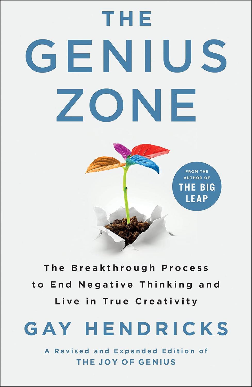 The Genius Zone: The Breakthrough Process to End Negative Thinking and Live in True Creativity (English Edition) baixar livro de graça