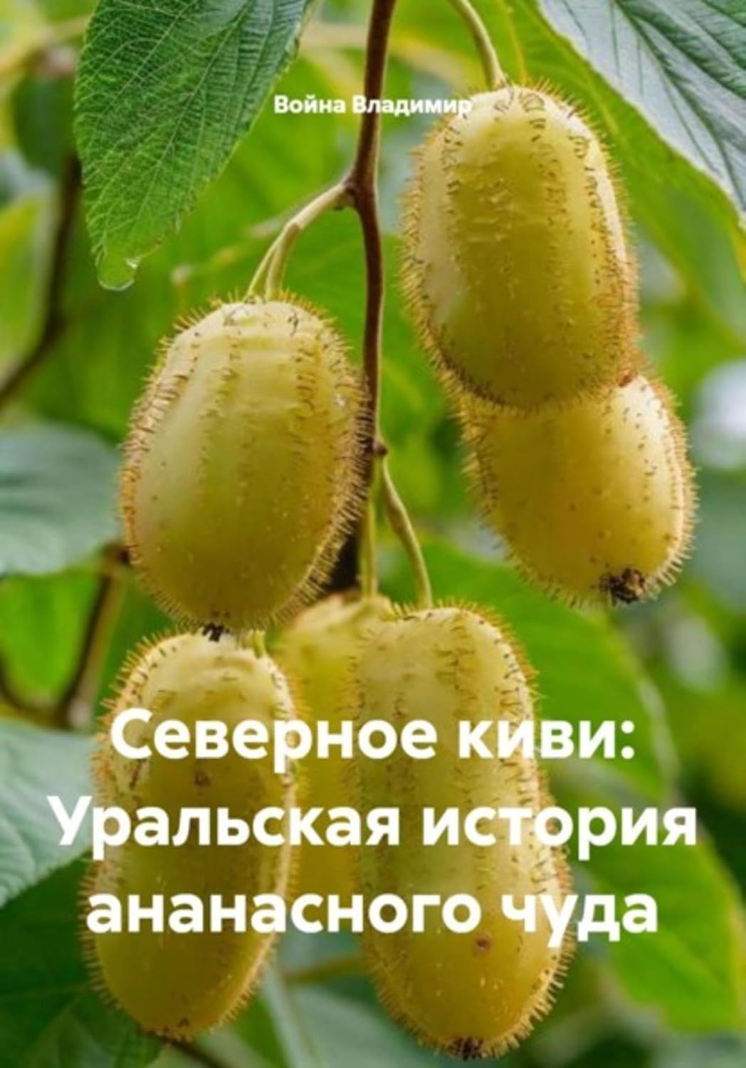 ler totalmente Северное киви: Уральская история ананасного чуда (Russian Edition)