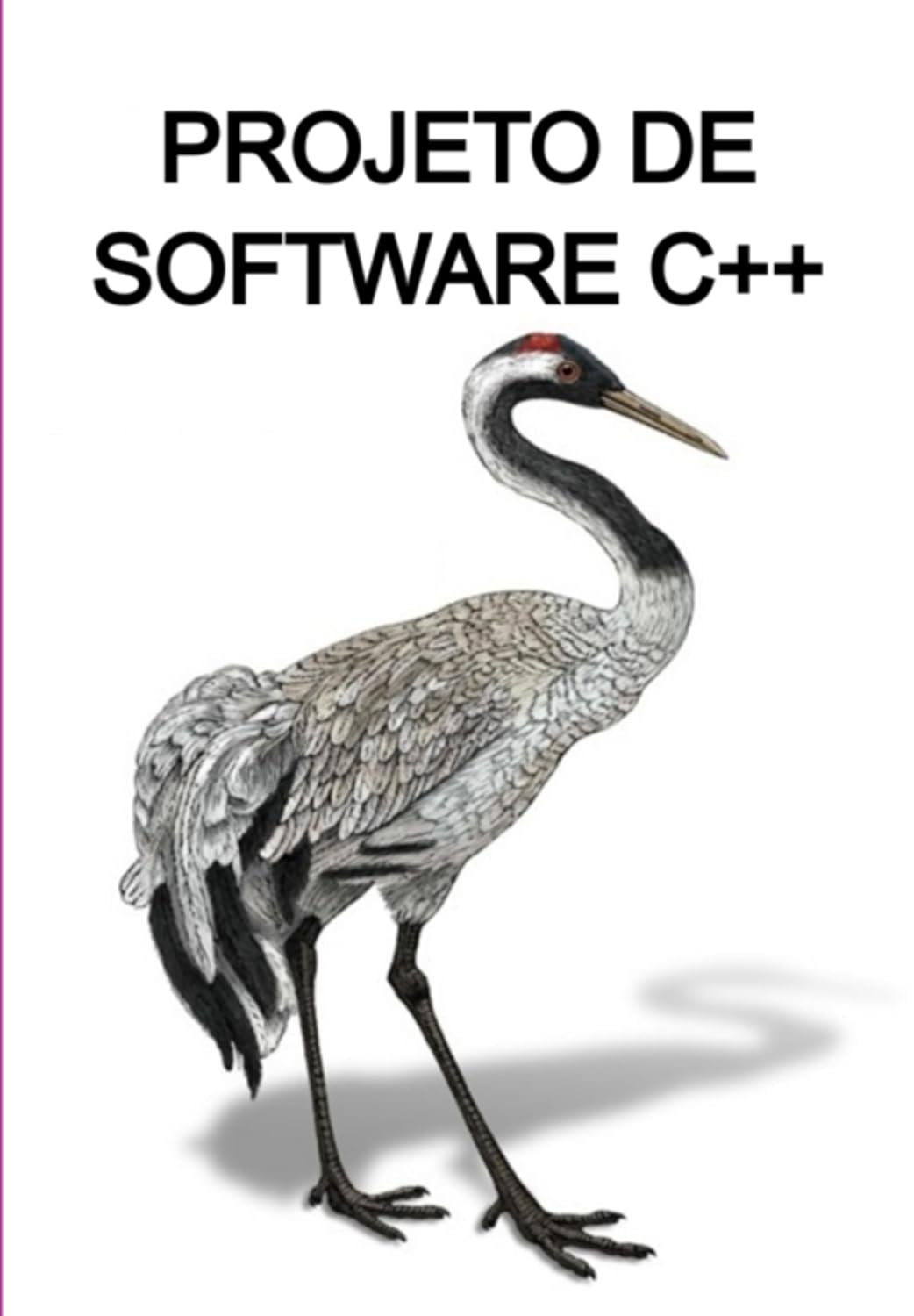 capítulo por capítulo baixar Projeto De Software C++