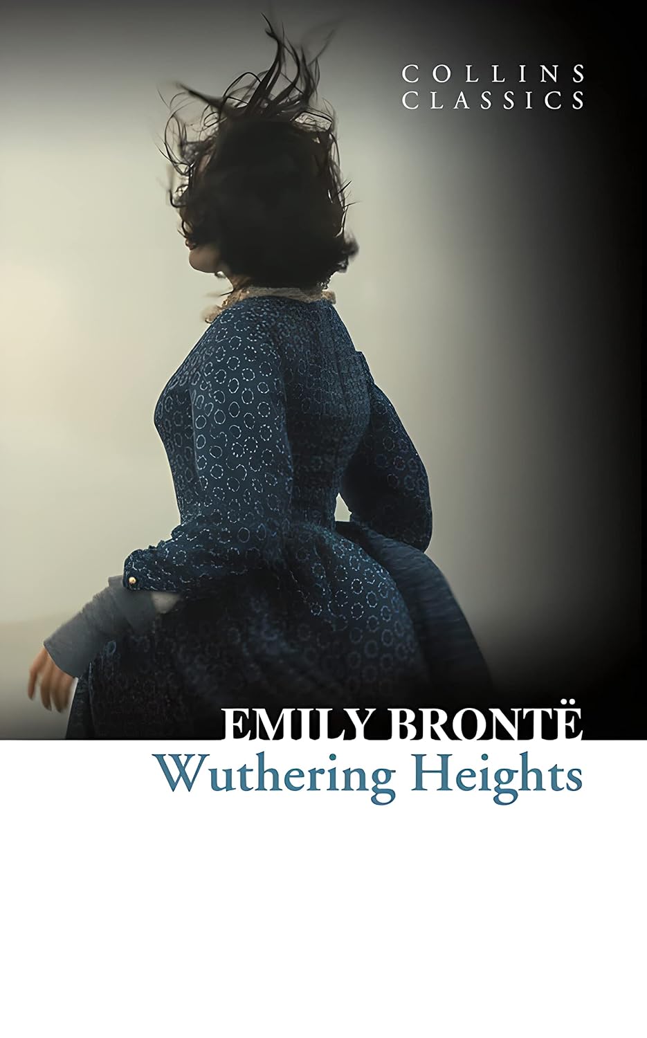 Wuthering Heights (English Edition) baixar livro de graça