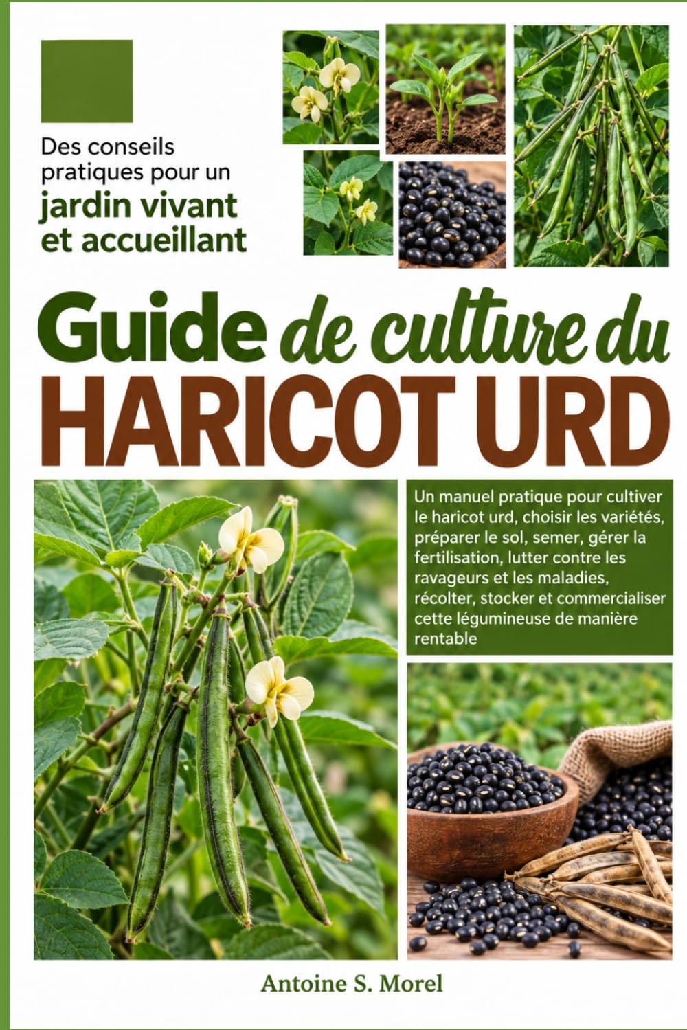 ler totalmente GUIDE DE CULTURE DU HARICOT URD: Un manuel pratique pour cultiver le haricot urd, choisir les variétés, préparer le sol, semer, gérer la... stocker et commercialiser (French Edition)