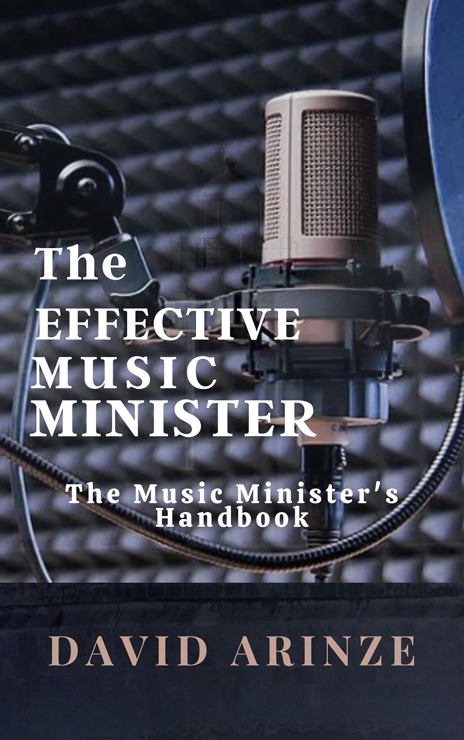 capítulo por capítulo baixar THE EFFECTIVE MUSIC MINISTER: THE MUSIC MINISTER'S HANDBOOK (English Edition)