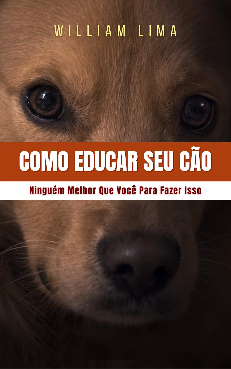 capítulo por capítulo baixar COMO EDUCAR SEU CÃO: Ninguém Melhor Que Você Para Fazer Isso