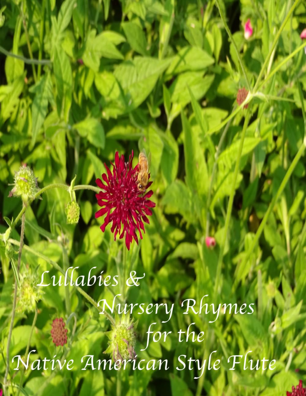 Lullabies & Nursery Rhymes for the Native American Style Flute baixar o livro de graça