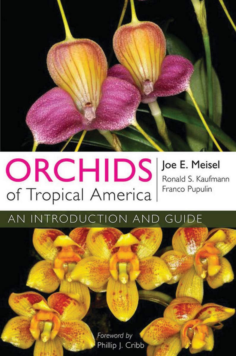Orchids of Tropical America: An Introduction and Guide baixar livro de graça