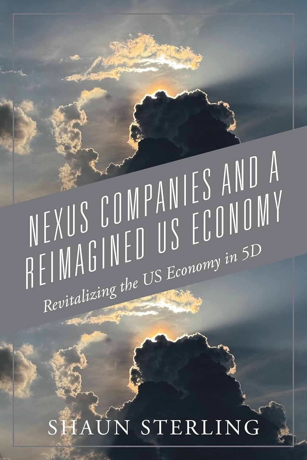 ler totalmente Nexus Companies and a Reimagined US Economy: Revitalizing the US Economy in 5D (English Edition)