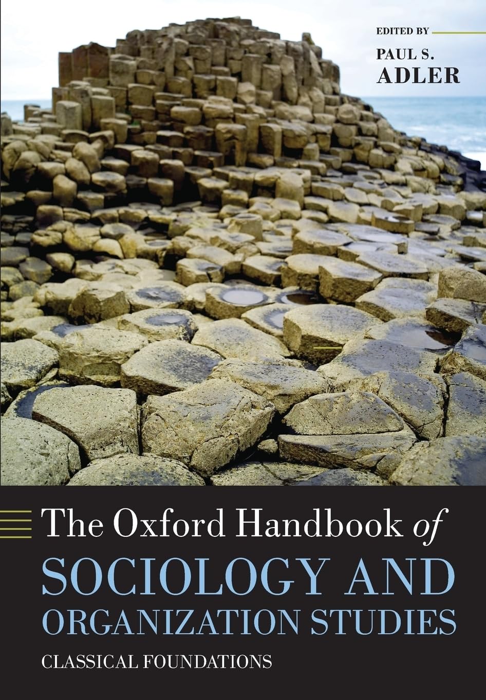 ler totalmente The Oxford Handbook of Sociology and Organization Studies: Classical Foundations