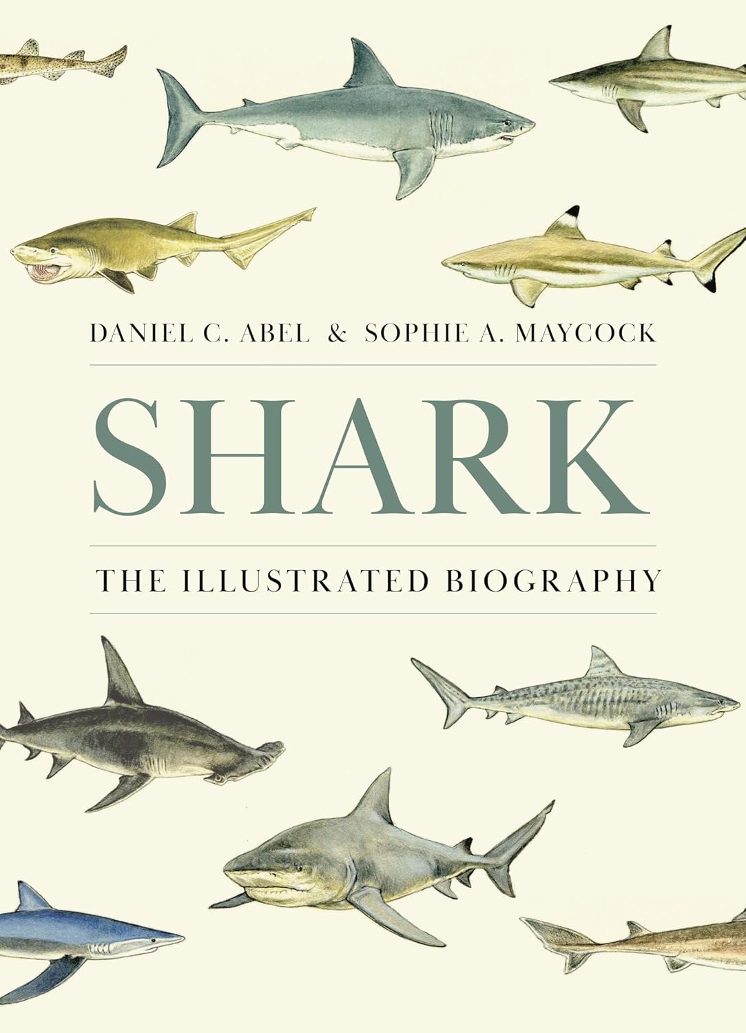 capítulo por capítulo baixar Shark: The Illustrated Biography