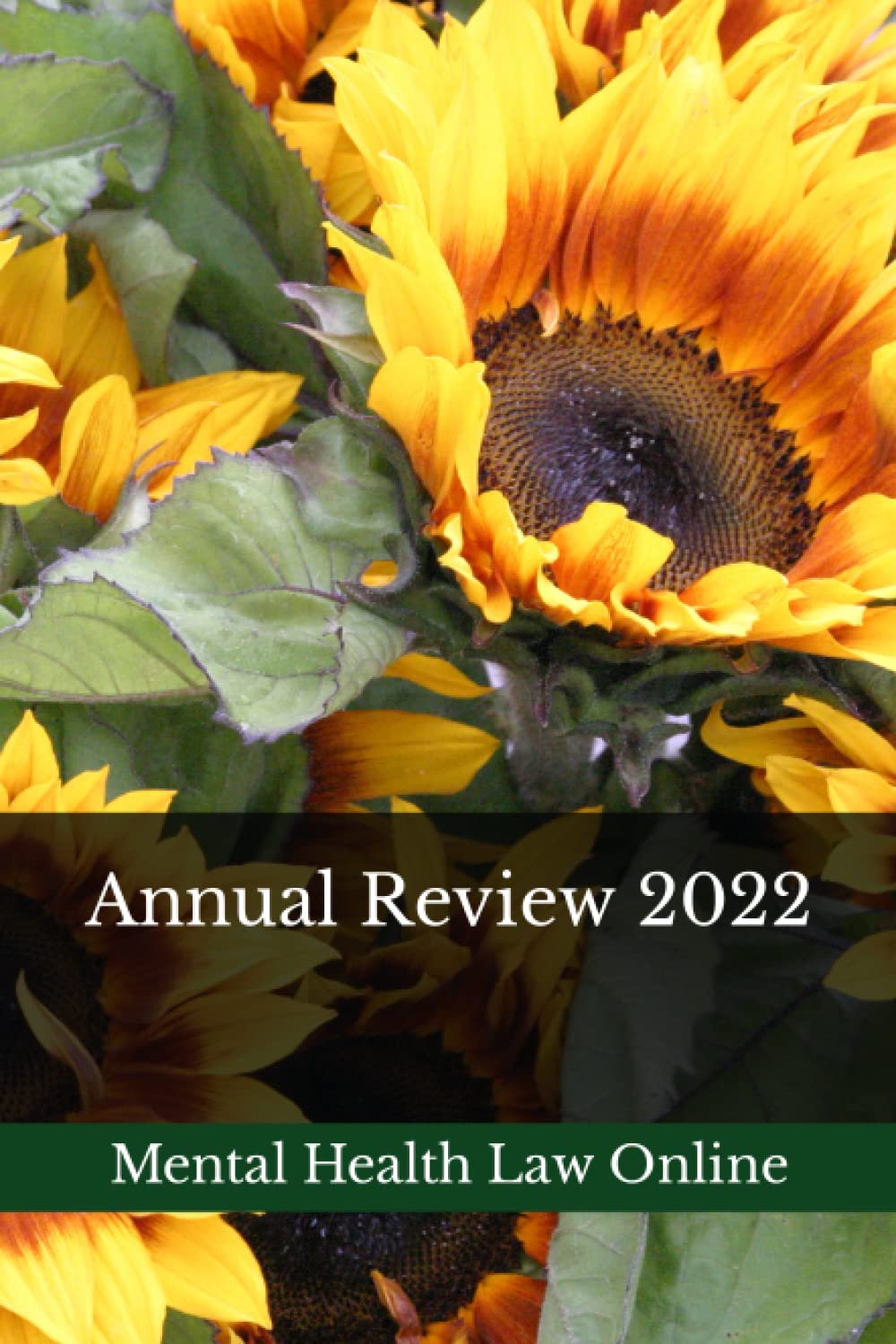 ler totalmente Mental Health Law Online: Annual Review 2022