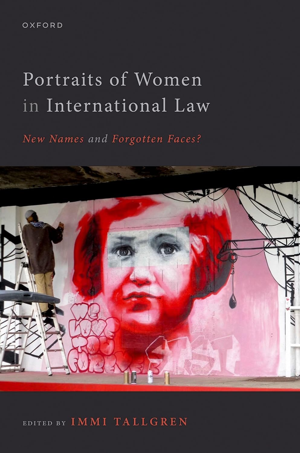 ler totalmente Portraits of Women in International Law: New Names and Forgotten Faces? (English Edition)