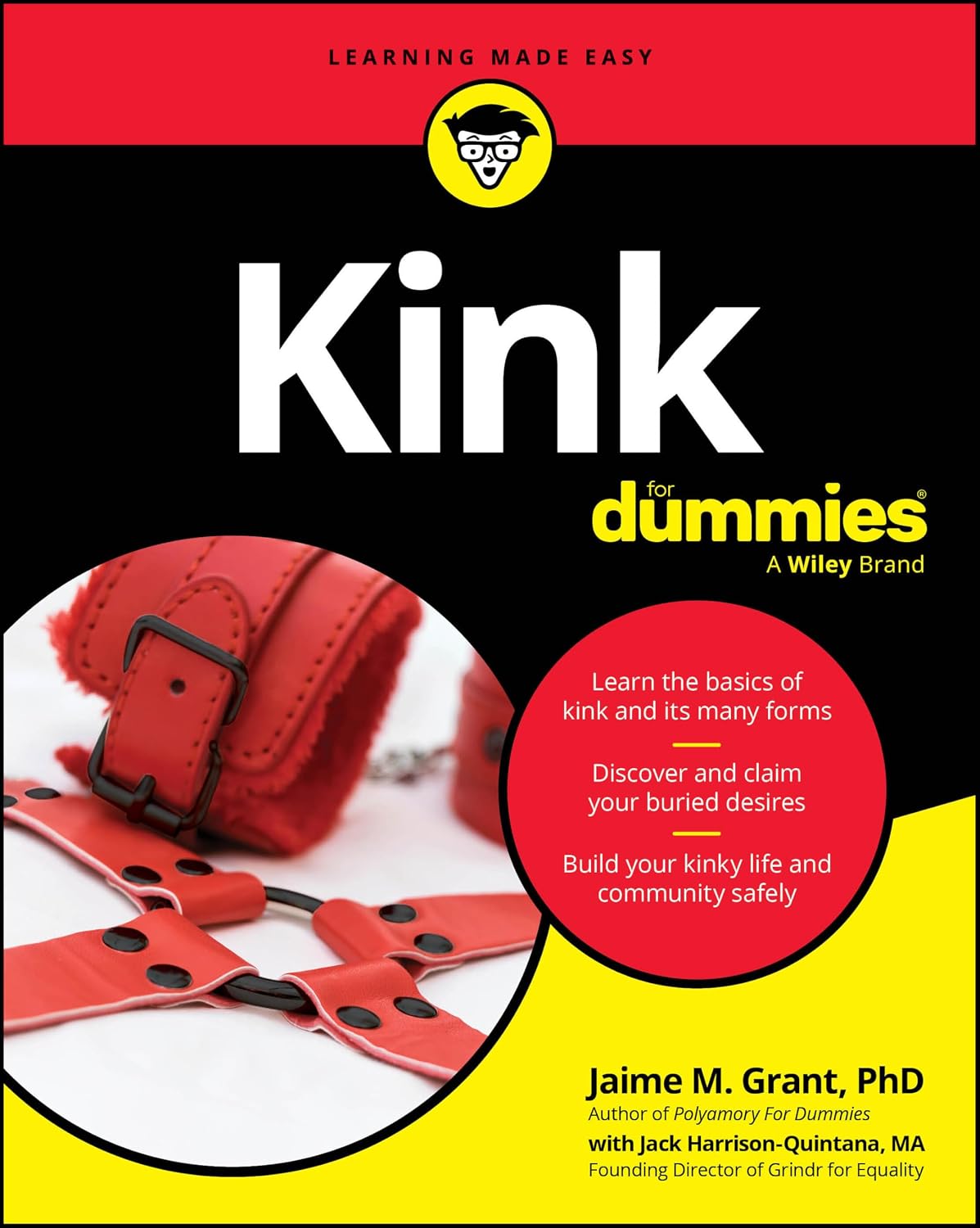 Kink for Dummies baixar o livro de graça