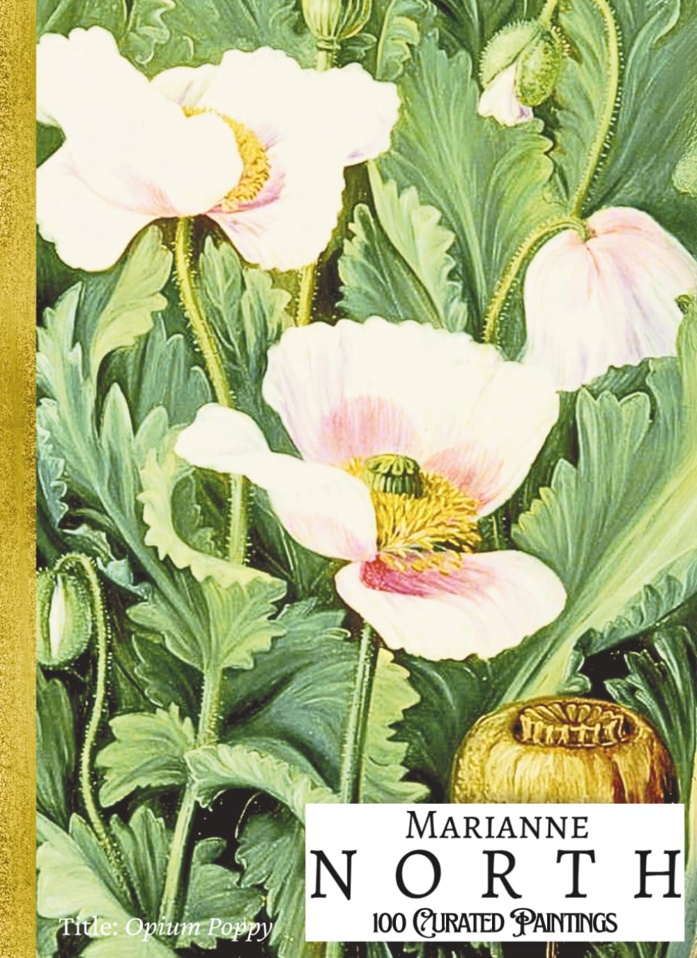 ler totalmente 'MARIANNE NORTH: 100 Curated Paintings'; Luxury Coffee Table Book/High Quality Prints/Plates; Softcover; Large A4 Size (8.5x11.69"); Premium Paper and... behind for each (My Private Art Gallery)