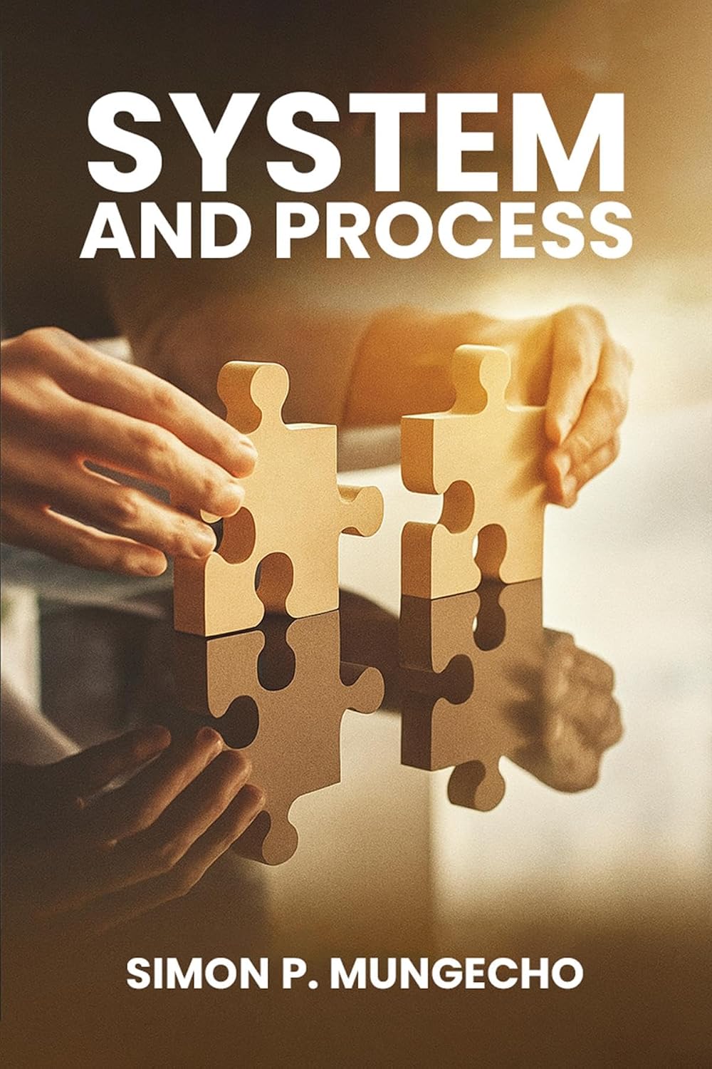 ler totalmente Systems and Process (English Edition)