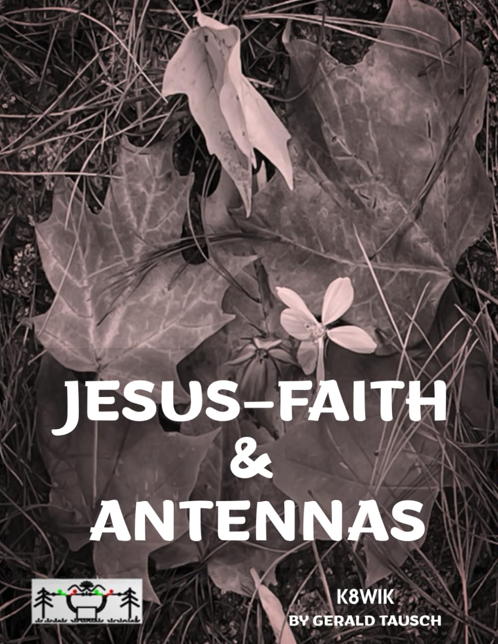 ler totalmente Jesus Faith & Antennas
