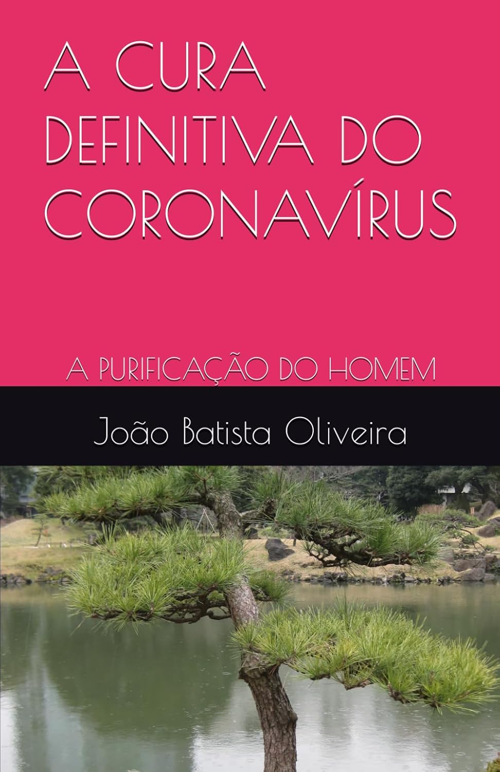 A CURA DEFINITIVA DO CORONAVÍRUS: A PURIFICAÇÃO DO HOMEM (Portuguese Edition) baixar livro de graça
