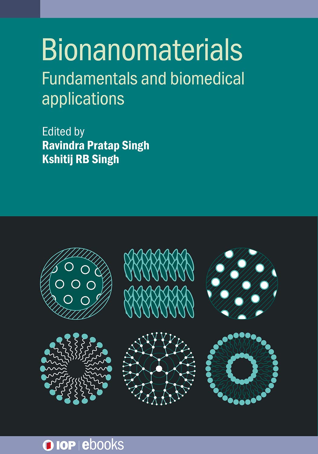 capítulo por capítulo baixar Bionanomaterials: Fundamentals and biomedical applications (IOP ebooks) (English Edition)