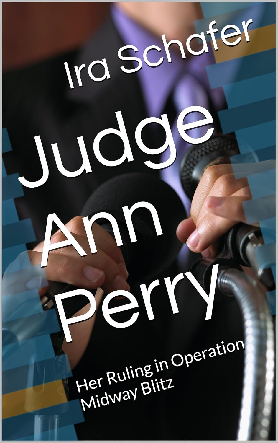Judge Ann Perry: Her Ruling in Operation Midway Blitz (English Edition) baixar livro de graça