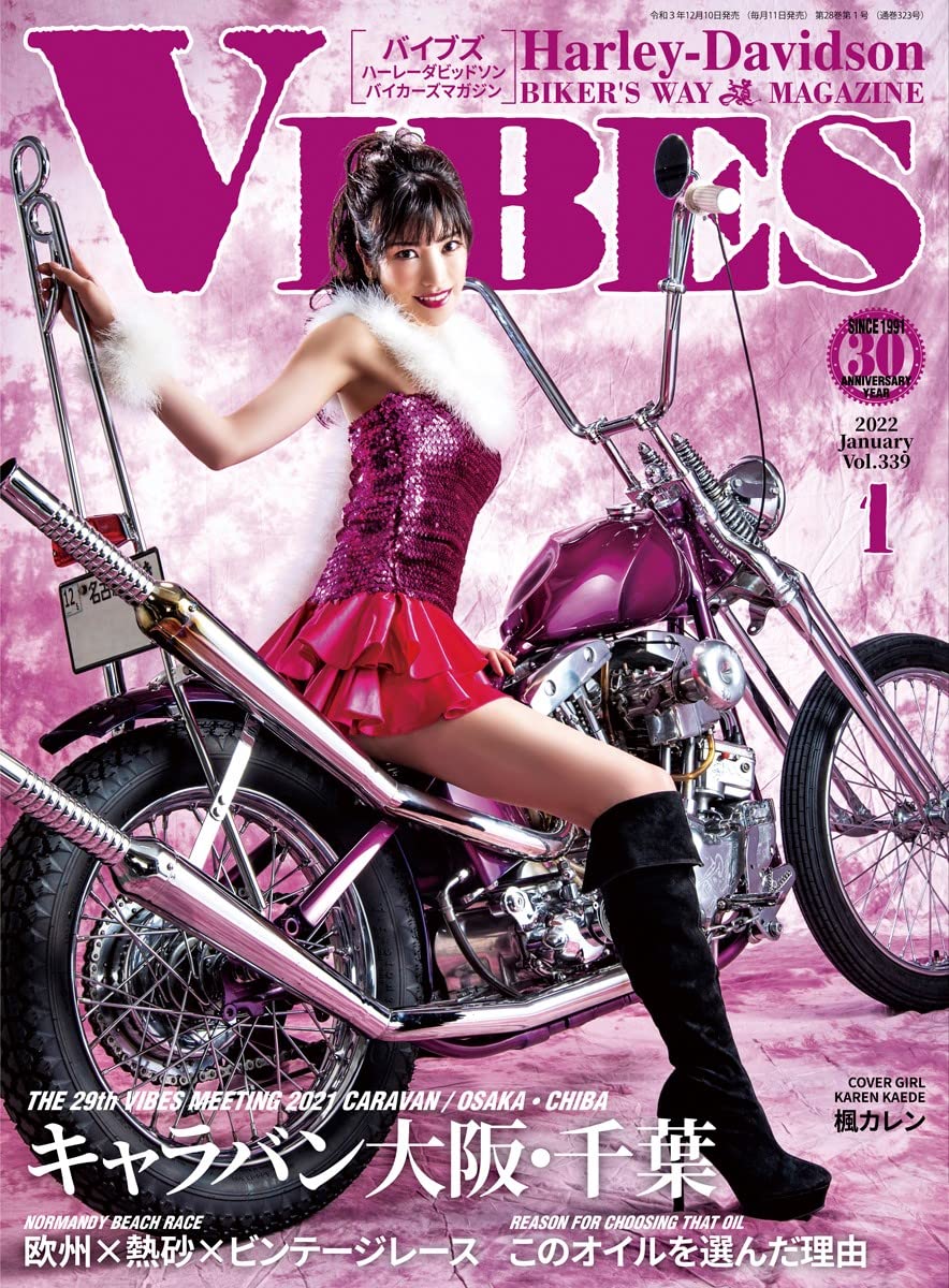 capítulo por capítulo baixar VIBES: volumeThreehundredthirtynine (Japanese Edition)
