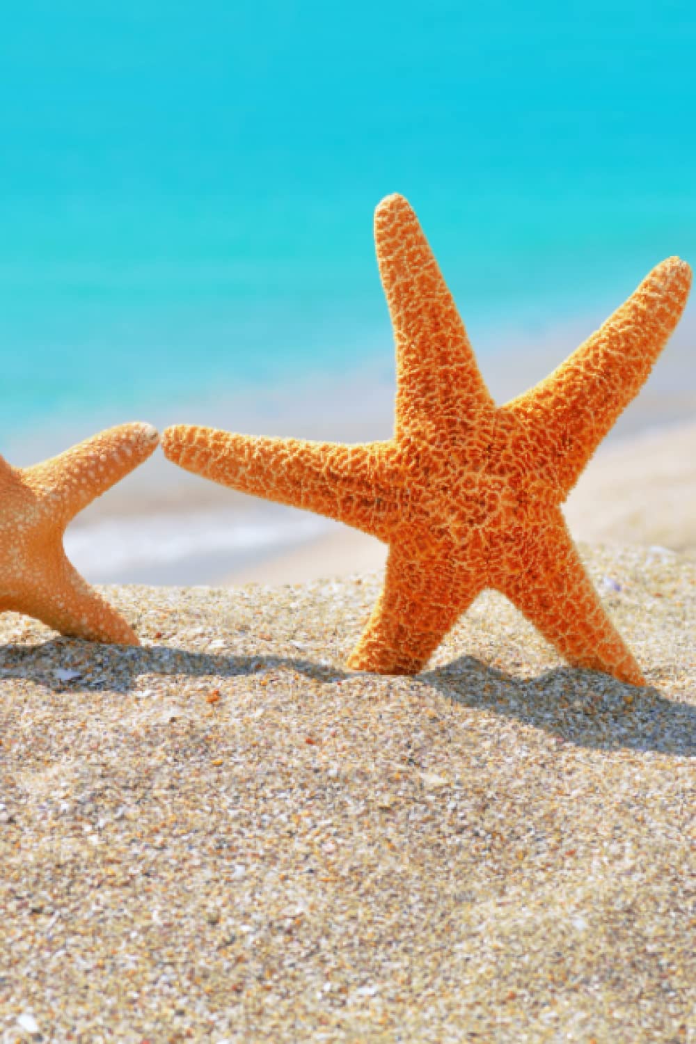 Starfish On A Beach Notebook: Lined Writing Journal for Women, Men, and Children baixar o livro de graça