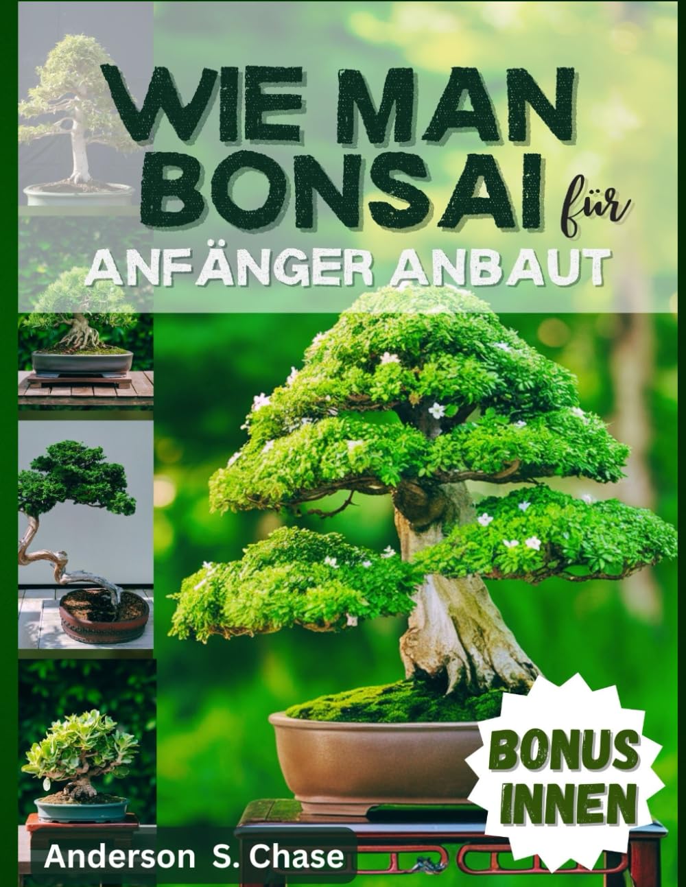 Wie man Bonsai für Anfänger Anbaut: Umfassende Anleitung zum einfachen Züchten, Auswählen und Pflegen von Bonsai-Bäumen (German Edition) baixar o livro de graça