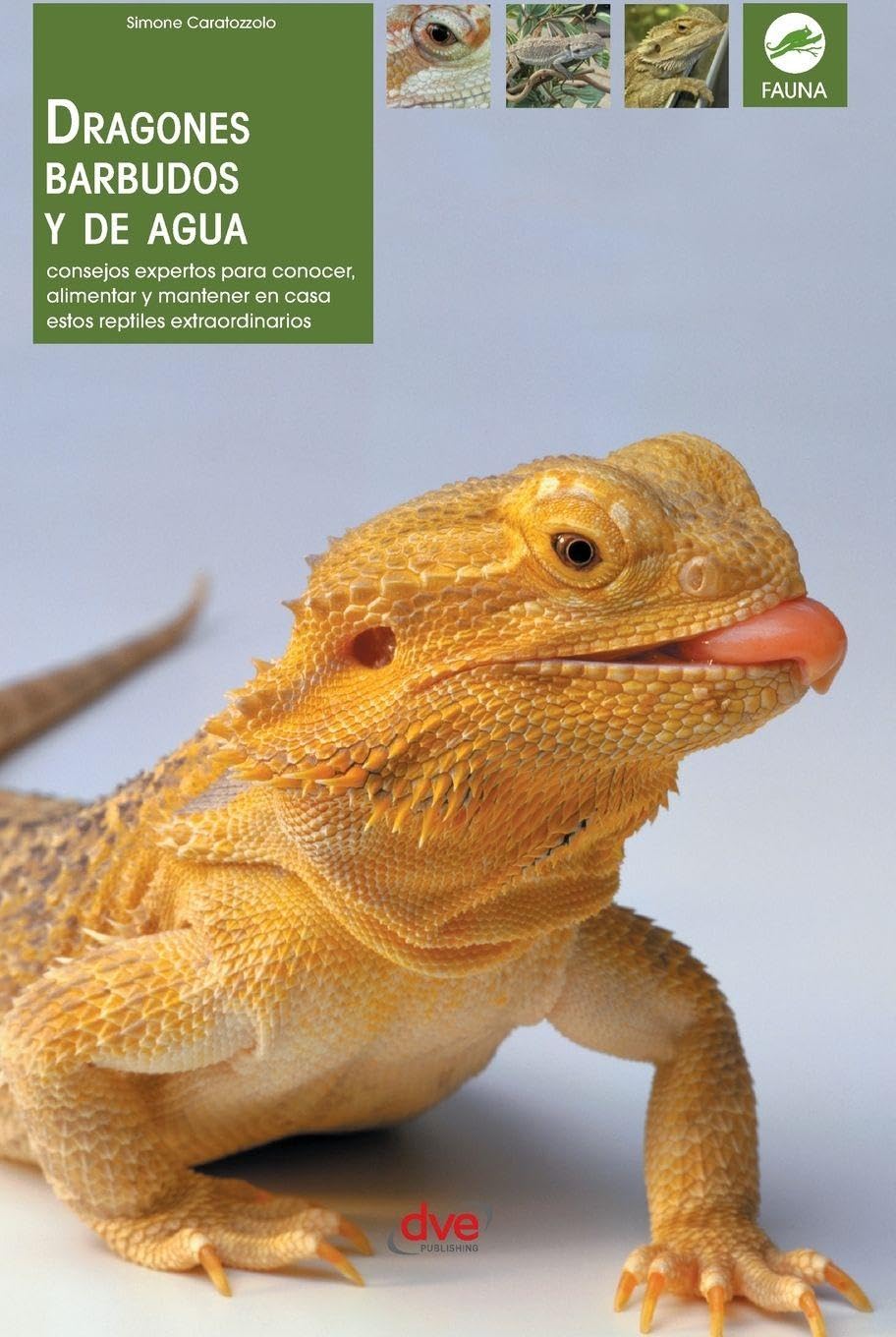 ler totalmente Dragones barbudos y de agua: Consejos expertos para conocer, alimentar y mantener en casa estos reptiles extraordinarios