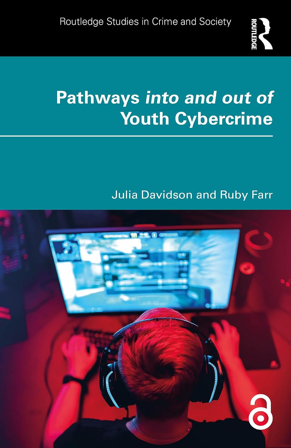 Pathways into and out of Youth Cybercrime: Research Findings and Reflections for Academics, Professionals and Policymakers (Routledge Studies in Crime and Society) (English Edition) baixar o livro de graça