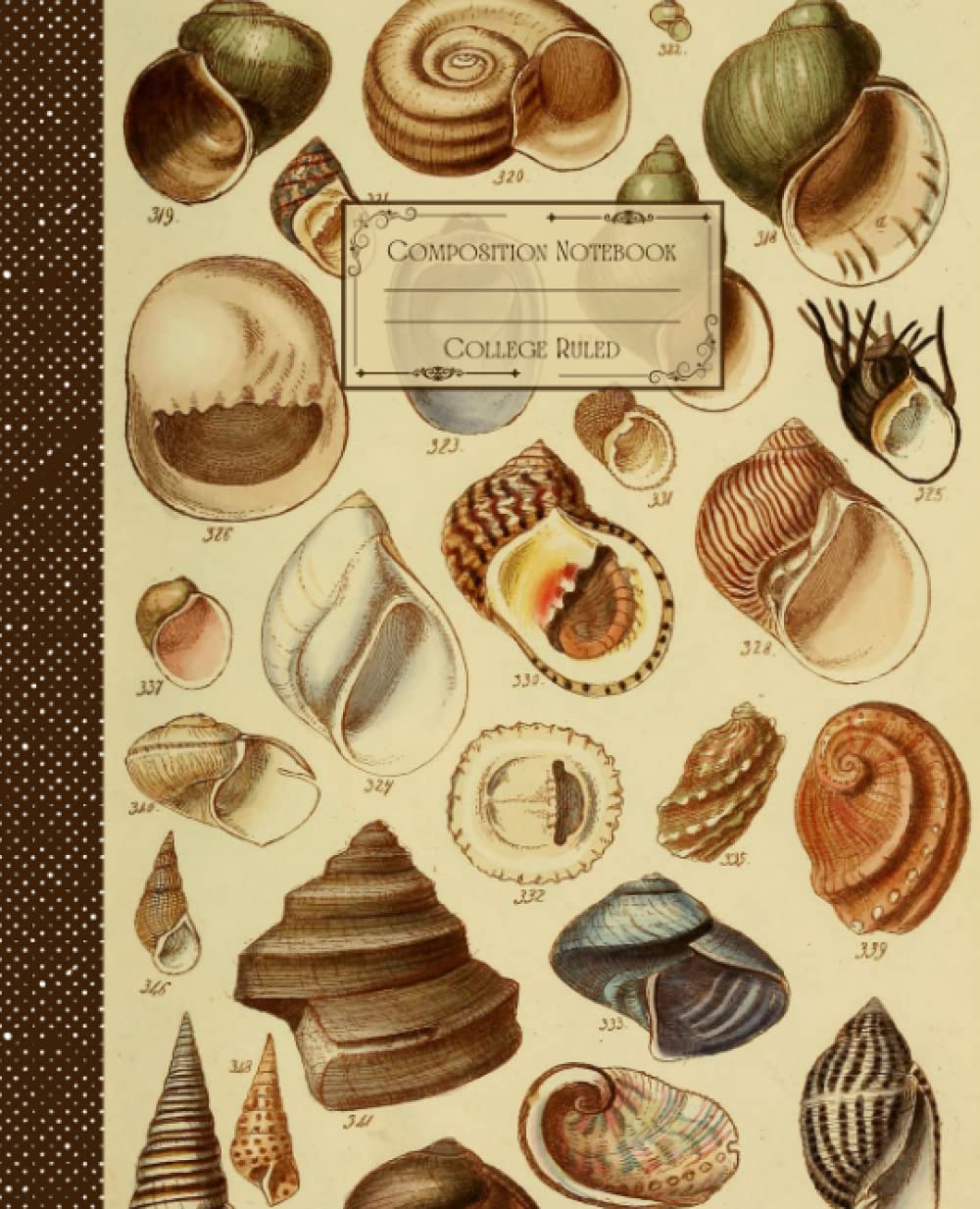 capítulo por capítulo baixar Vintage Seashells Composition Notebook College Ruled: Antique Seashells Illustration | Classic Composition Notebook for Writing and Journaling |... for College Students, School and Work.
