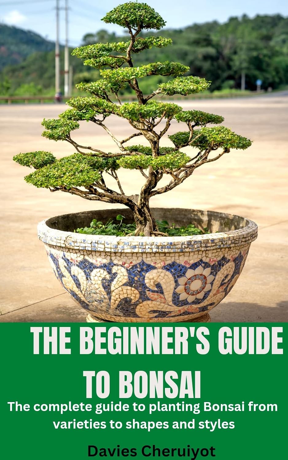 ler totalmente THE BEGINNER'S GUIDE TO BONSAI: The complete guide to planting Bonsai from varieties to shapes and styles (Houseplants) (English Edition)