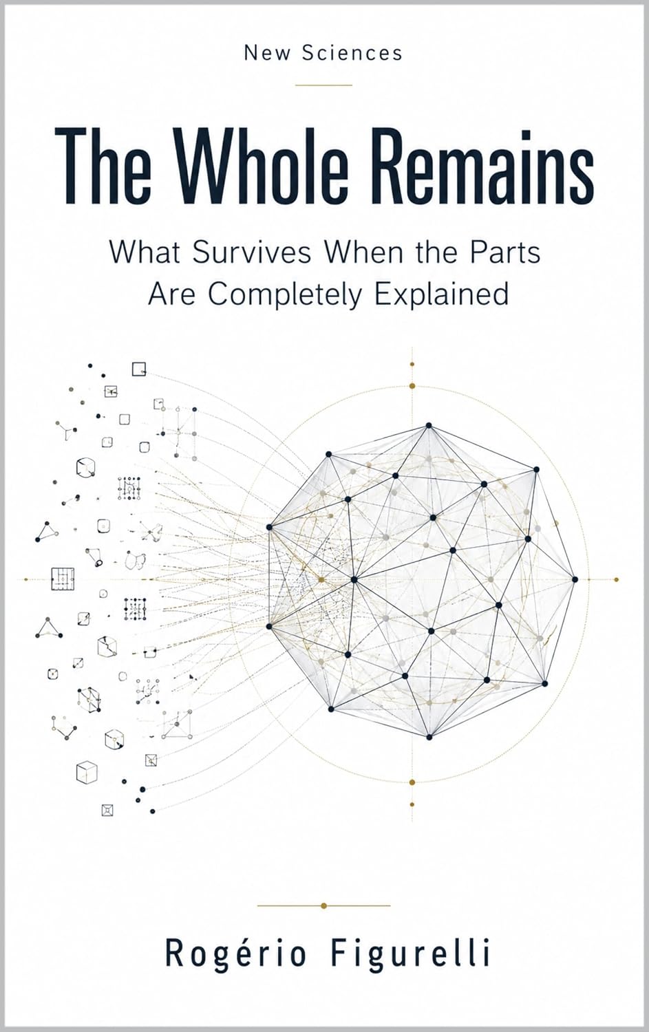 The Whole Remains: What Survives When the Parts Are Completely Explained (Wisdom as Strategy Book 6) (English Edition) baixar o livro de graça