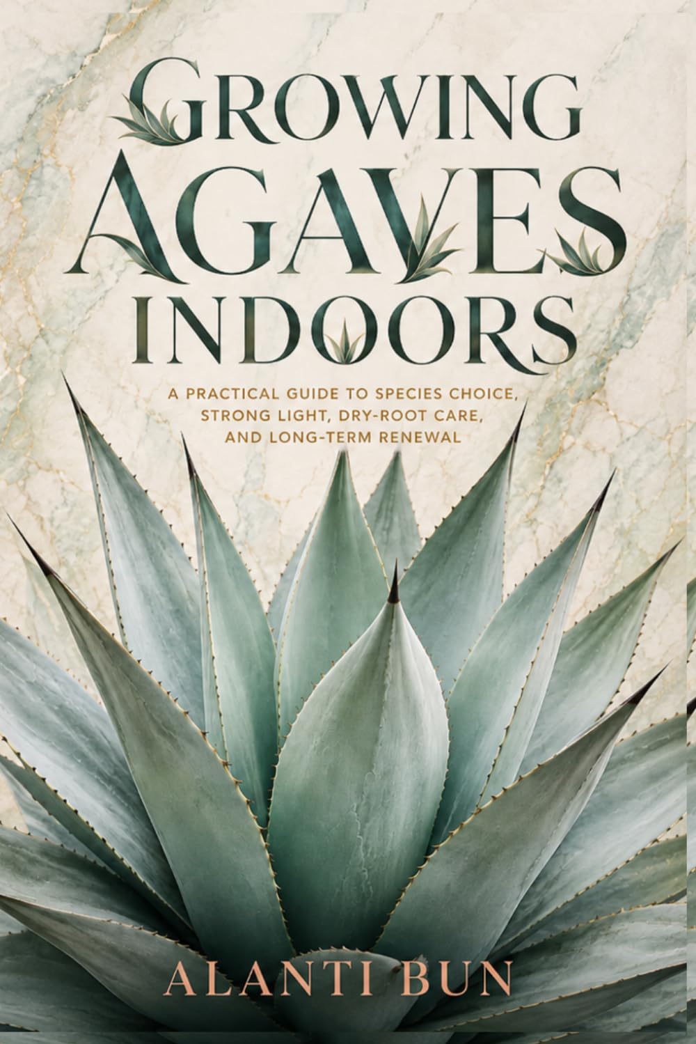 Growing Agaves Indoors: A Practical Guide to Species Choice, Strong Light, Dry-Root Care, and Long-Term Renewal
