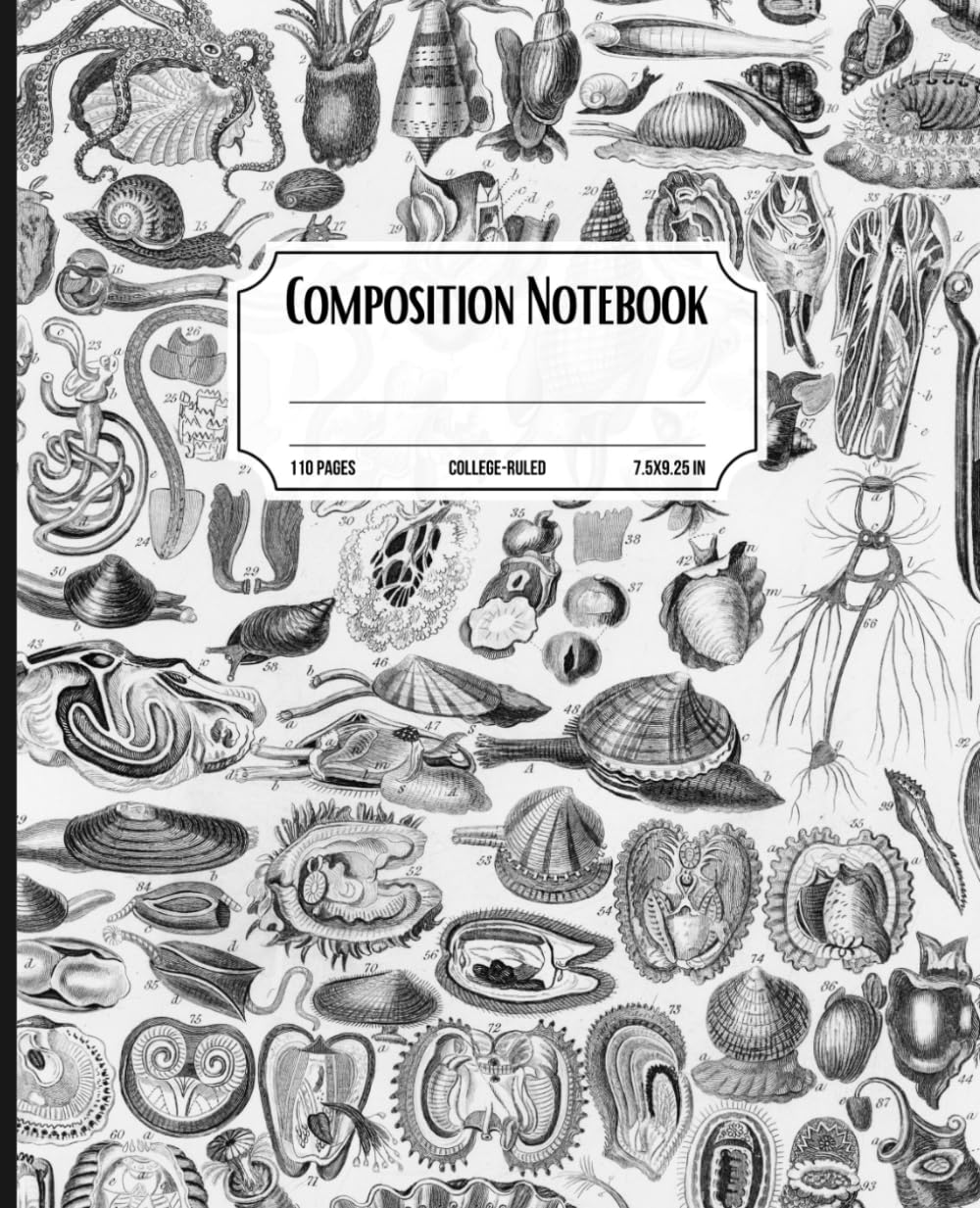 Vintage Sea Life Composition Notebook College Ruled: Mussels, Snails, Crustaceans, Cuttlefish Print | Ocean Marine Pattern Aesthetic Journal For Teens And Adults | Wide Lined (110 pages) baixar o livro de graça