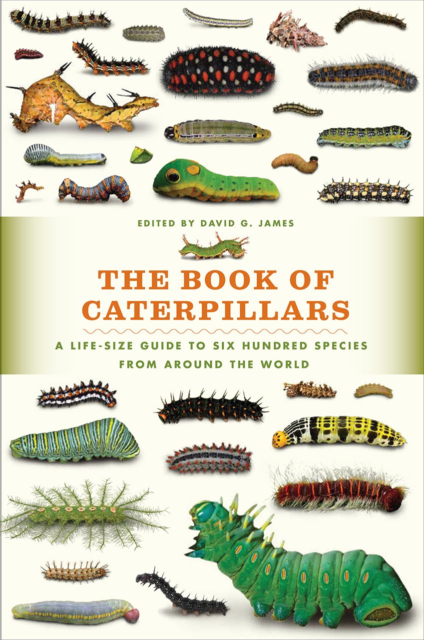 The Book of Caterpillars: A Life-Size Guide to Six Hundred Species from Around the World baixar livro de graça