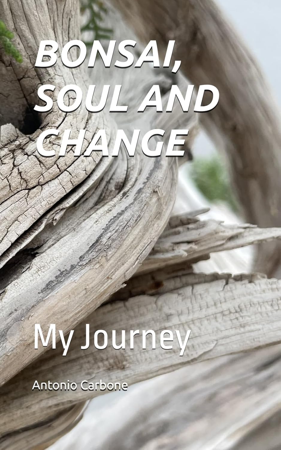 ler totalmente BONSAI, SOUL AND CHANGE: MY JOURNEY