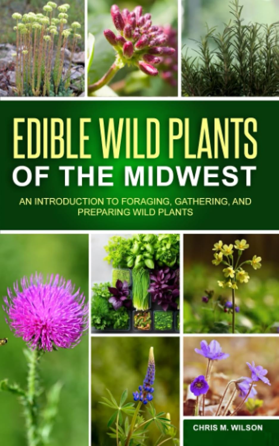 Edible Wild Plants Of The Midwest: An Introduction To Foraging, Gathering, And Preparing Wild Plants baixar livro de graça