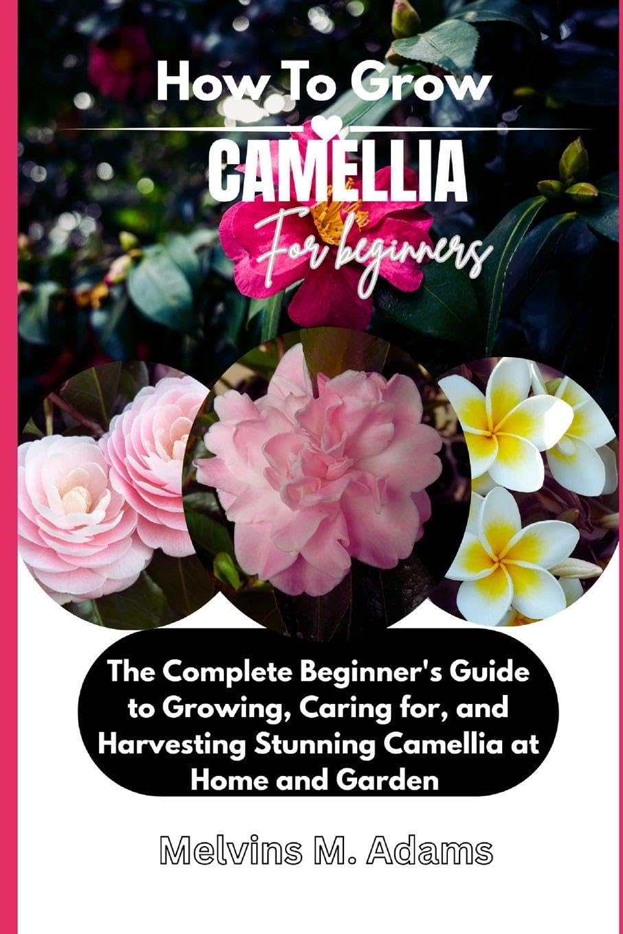 ler totalmente How to Grow Camellia Flower for Beginners: The Ultimate Beginner's Guide to Growing, Caring for, and Harvesting Stunning Camellia at Home and garden
