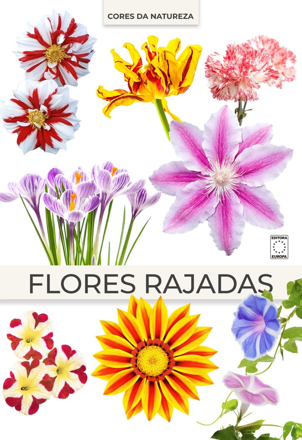 ler totalmente Coleção Cores da Natureza - Flores Rajadas