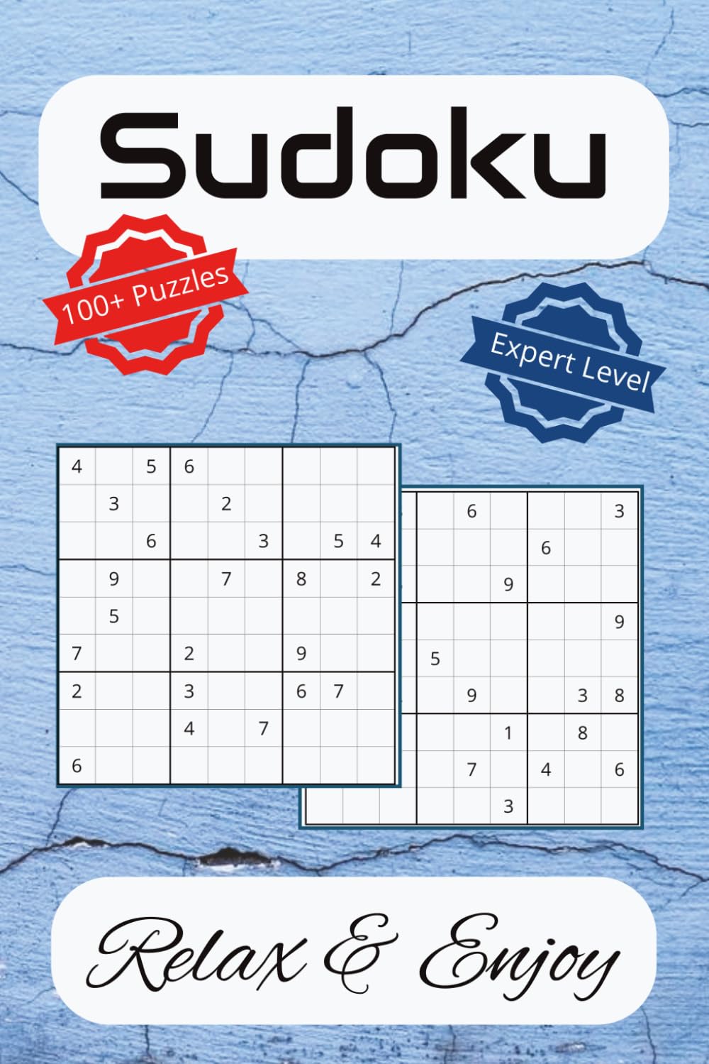 Sudoku Puzzle Expert Level: Challenging Sudoku Puzzles | 6 x 9 inches | 100+ Puzzles | Sudoku For Adults & Seniors baixar livro de graça