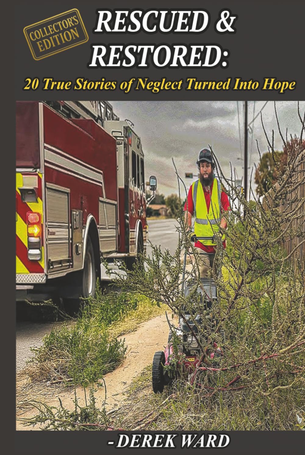 Rescued & Restored: Collectors Edition: 20 True Stories of Neglect Turned Into Hope baixar livro de graça