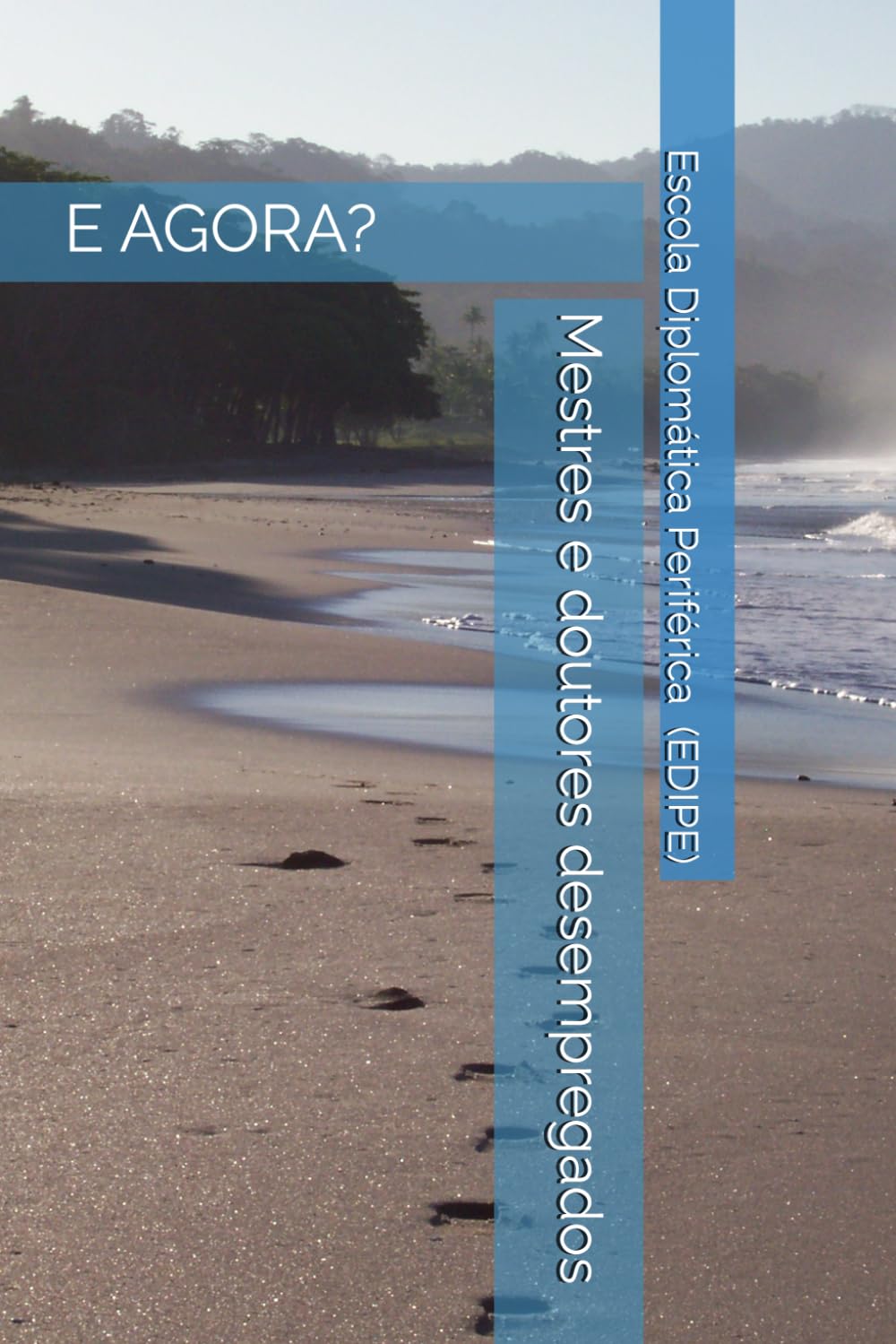 Mestres e doutores desempregados: Transição de carreira para Diplomacia (Portuguese Edition) baixar o livro de graça
