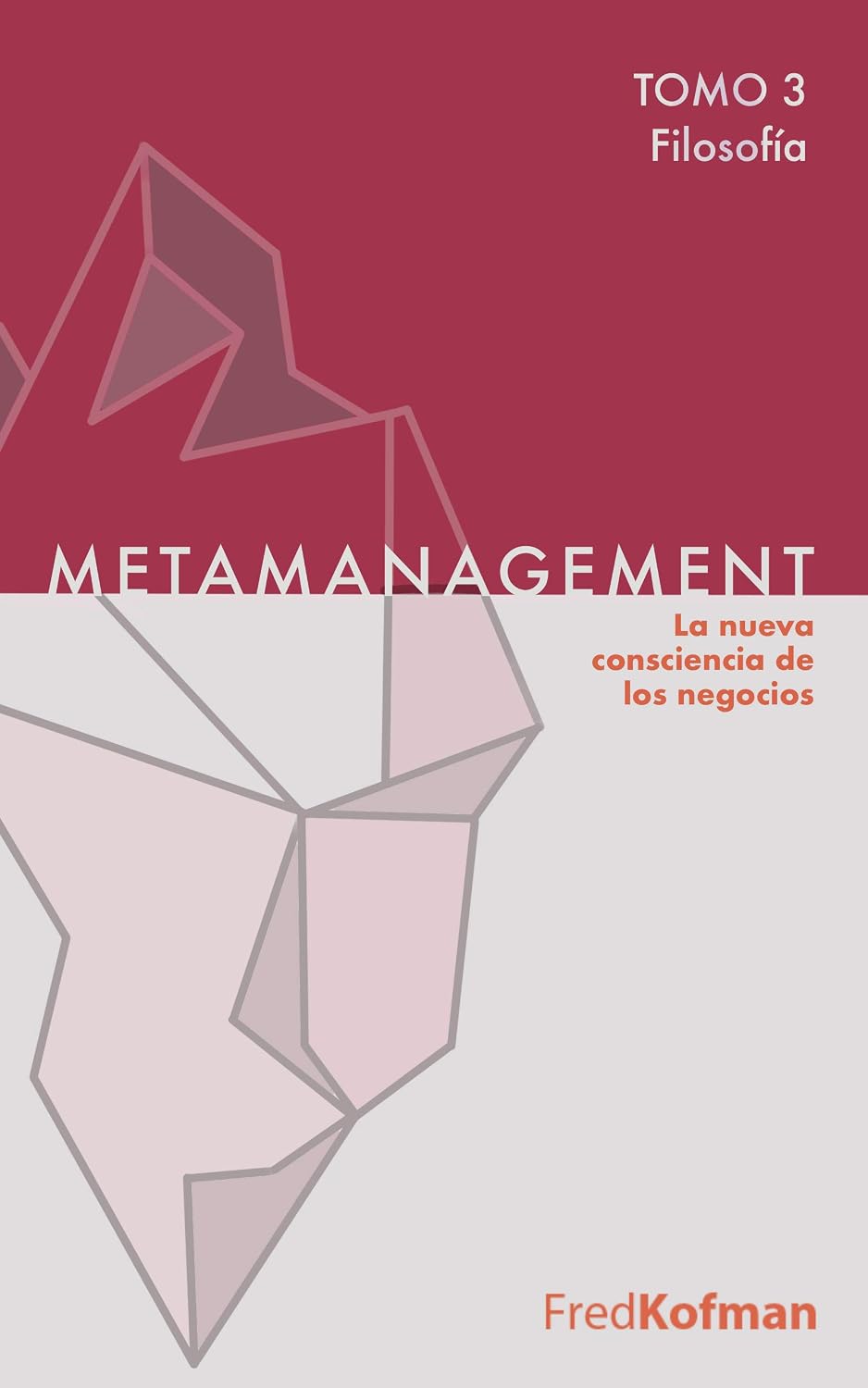 Metamanagement (Filosofía, Tomo 3): La nueva consciencia de los negocios (Spanish Edition) baixar livro de graça