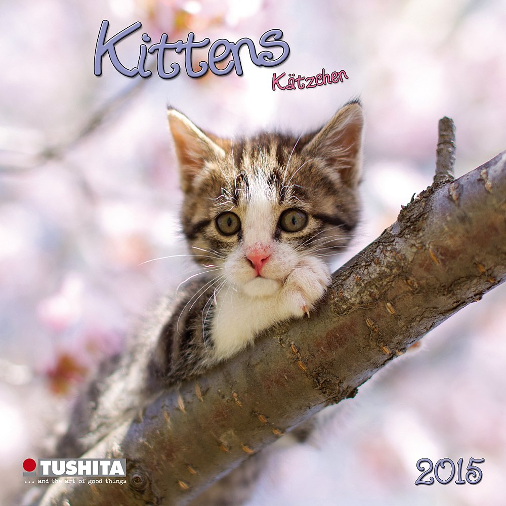 Cats / Kittens 2015 baixar livro de graça