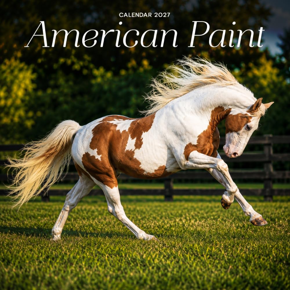 American Paint Horse Calendar 2027: Horse Portraits and Pasture Scenes baixar o livro de graça