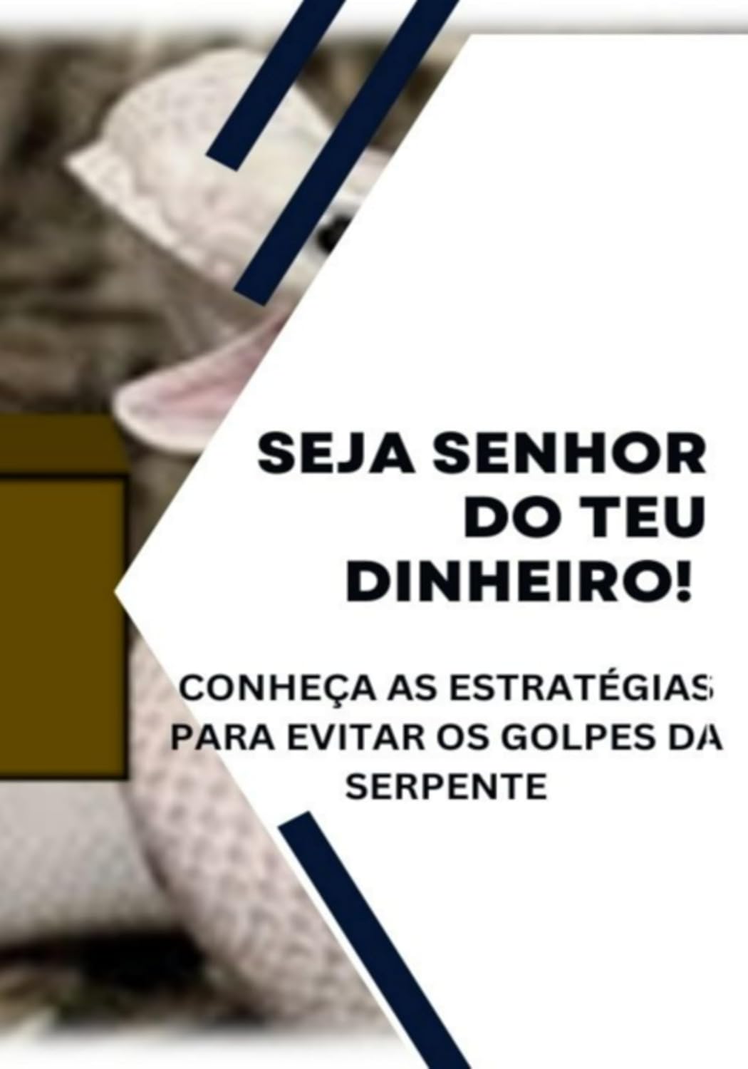 ler totalmente Seja Senhor Do Teu Dinheiro!