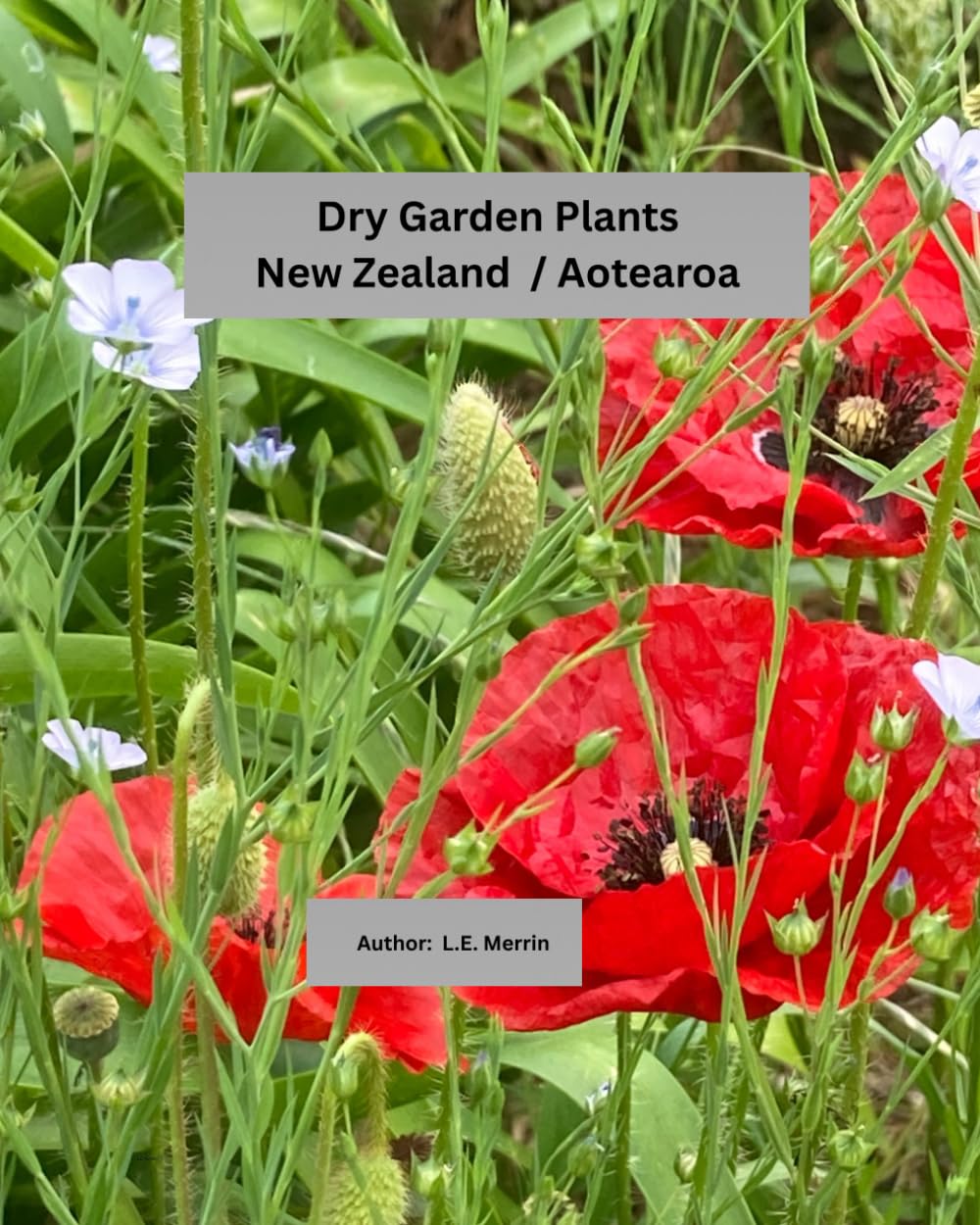 ler totalmente Dry Garden Plants New Zealand / Aotearoa