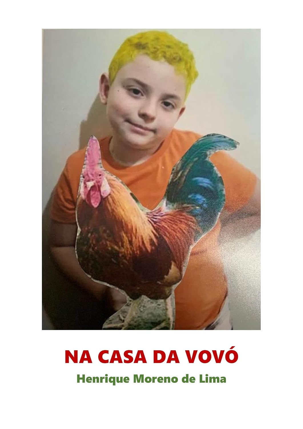 Na Casa da Vovó baixar livro de graça
